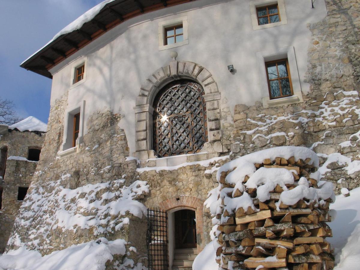 Zamek Vila